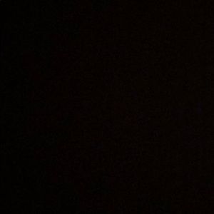 Meet your Posher, Adrian